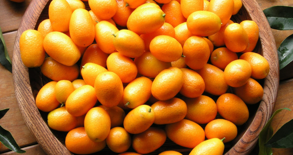 橘之鄉蜜餞形象館