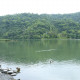 梅花湖風景特定區